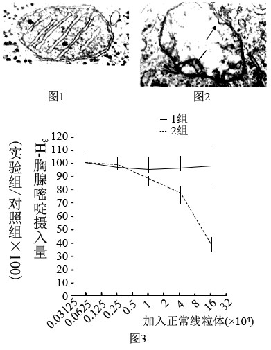 image001.png