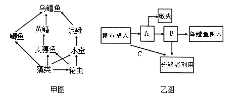 乌鳢的食物链河流生态系统中的食物网某湖泊生态系统的部分食物网如图