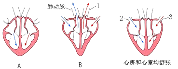 【题文】下图是心脏工作示意图(箭头表示血流方向,请回答相关问题.