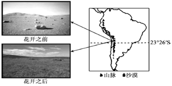 厄尔尼诺现象形成条件 image001.png