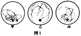 image001.png
