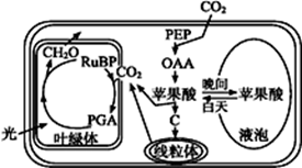 image001.png