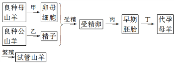 (1)胚胎工程的研究对象是 __________动物,试管山羊的培育过程中涉及