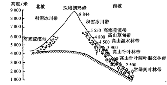 自然地理环境的差异性 【推荐3】下图为珠穆朗玛峰地区的自然带分布