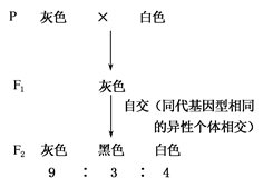 玉米的早熟和晚熟这对相对性状的遗传涉及两对等位基因(a,a与b,b.