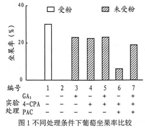image001.png