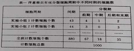 (一)有研究小组通过洋葱根尖分生区有丝分裂实验,比较—个细胞周期中