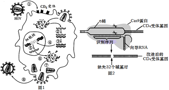 image001.png