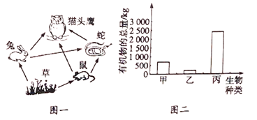 image001.png