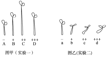 image001.png