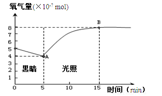 image001.png