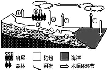 【推荐1】读水循环示意图(图中数字表示水循环环节),回答下列各题.