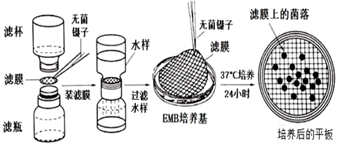 滤膜法的大致流程:用滤膜过滤待测水样