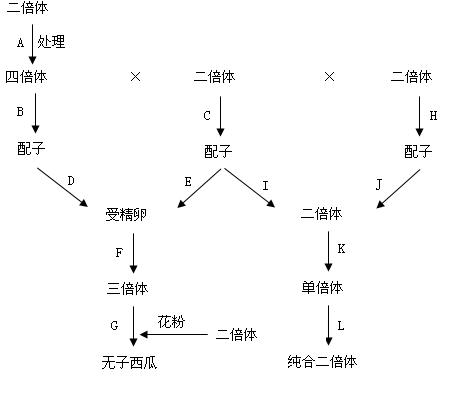 普通小麦为六倍体,两性花,自花传粉.小麦糯性对非糯性为隐性.