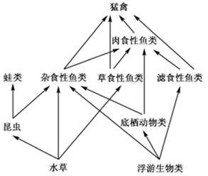 某湖泊生态系统中盛产淡水鱼,为提高产量,渔民向该水体中投放了大量的