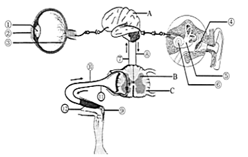 image001.png