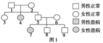 绿配红有什么说法吗 image001.png