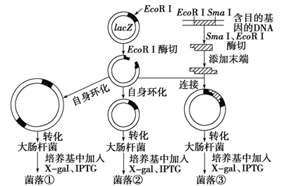 image001.png