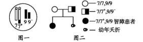 妻子染色体正常,丈夫染色体异常(如图一所示:9号染色体有一片段易位