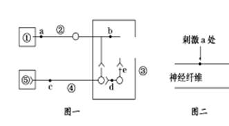 食物进入体内的消化过程示意图 image001.jpg