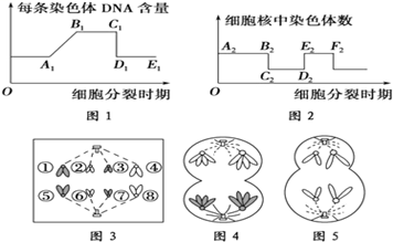 生物孟德尔遗传定律_孟德尔的遗传定律包括_孟德尔遗传定律教案范文