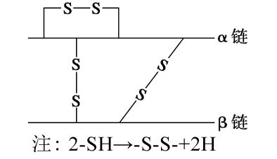 【推荐2】某蛋白质分子由 条肽链组成共 657 个氨基酸,如图所示.