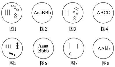 下列是对图1~8所示的细胞图中各含有几个染色体组的叙述,正确的是( )