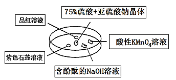 image001.png