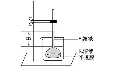 当渗透达到平衡时,液面差为m.下列有关分析错误的是(   )