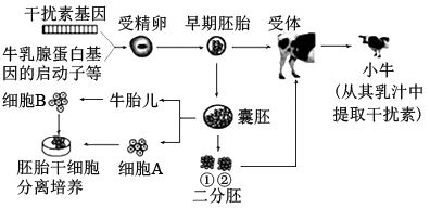 下图是利用基因工程技术生产人胰岛素的操作过程示意图请据图作答