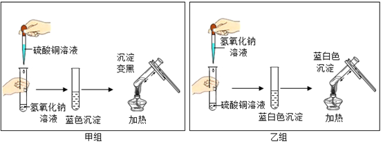 【推荐2】下图是甲,乙两个实验小组分别进行"加热硫酸铜和氢氧化钠