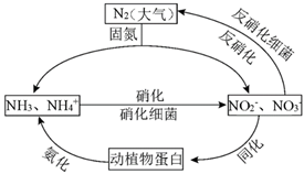 1如图的氮循环是生态系统物质循环的重要部分人类活动加剧了氮循环中