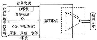 下图是高等动物体内细胞与外界进行物质交换的总趋势图解.