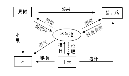 下图是该生态系统中部分物质循环示意图.回答下列问题