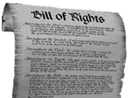 文件中"billofrights"的译文应该是a《权利法案》b《独立宣言