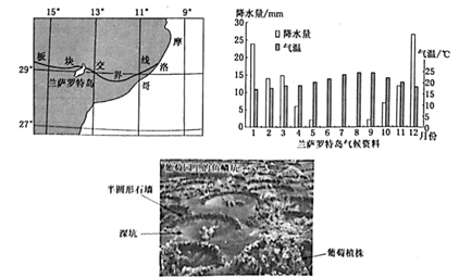 教师资格试讲教案模板地理ppt_地理教案模板表格_高中地理教案模板