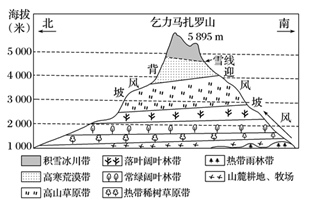 材料二 乞力马扎罗山自然带垂直分布图.