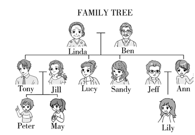 根据spring"s family tree填空.