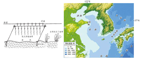 说明荣成成为我国海带之乡的优势区位条件.  