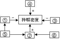 如图为某同学建构的种群各数量特征之间关系的模型,其中"表示促进或